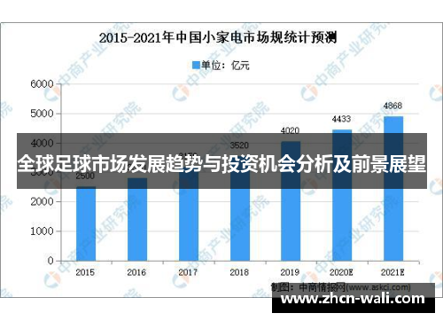 全球足球市场发展趋势与投资机会分析及前景展望
