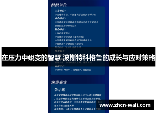 在压力中蜕变的智慧 波斯特科格鲁的成长与应对策略