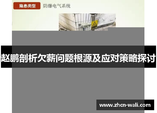 赵鹏剖析欠薪问题根源及应对策略探讨
