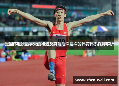 张国伟退役后享受的待遇及其背后深层次的体育体系保障解析