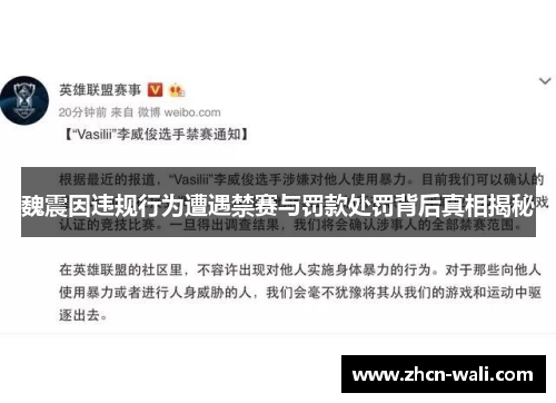 魏震因违规行为遭遇禁赛与罚款处罚背后真相揭秘